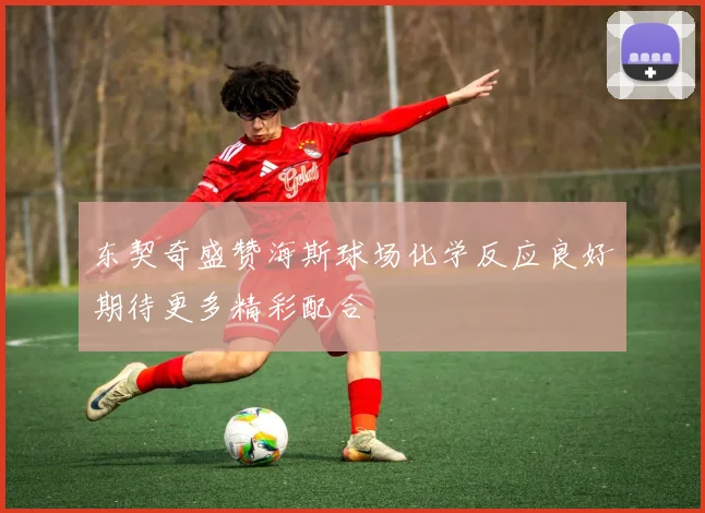 东契奇盛赞海斯球场化学反应良好期待更多精彩配合