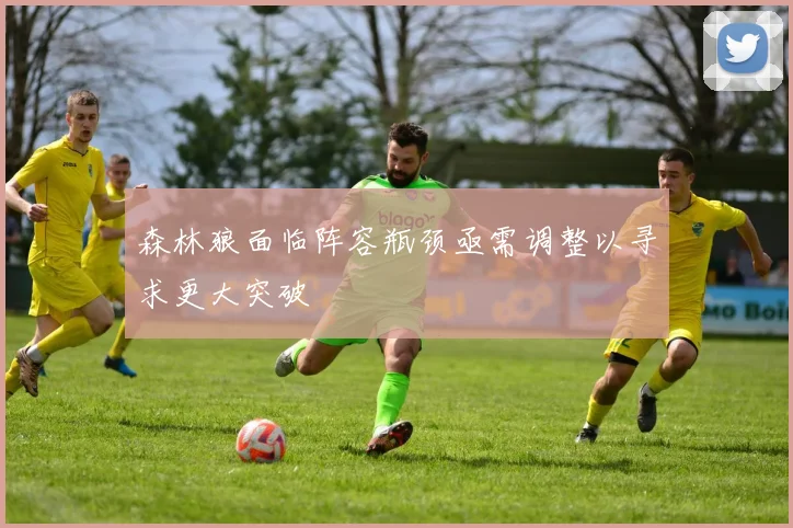 森林狼面临阵容瓶颈亟需调整以寻求更大突破